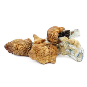 Koh Samui Magic Mushrooms