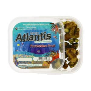 Magic Truffles Psilocybe Atlantis